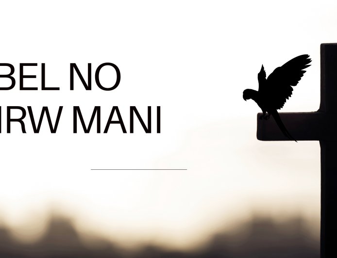 Baibel no sinirw mani